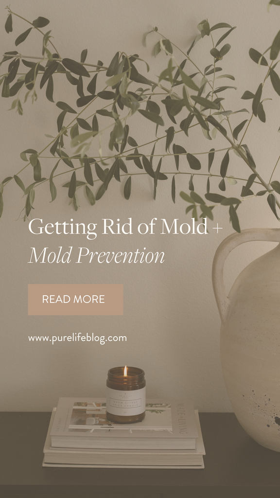 Getting rid of mold can be complicated. These are some of the easiest + most efficient ways to remove it and arm yourself with mold prevention. | Primally Pure Skincare